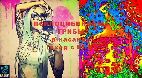 прущий лед Горнозаводск