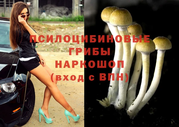 ECSTASY Горно-Алтайск