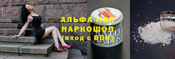 ECSTASY Горно-Алтайск